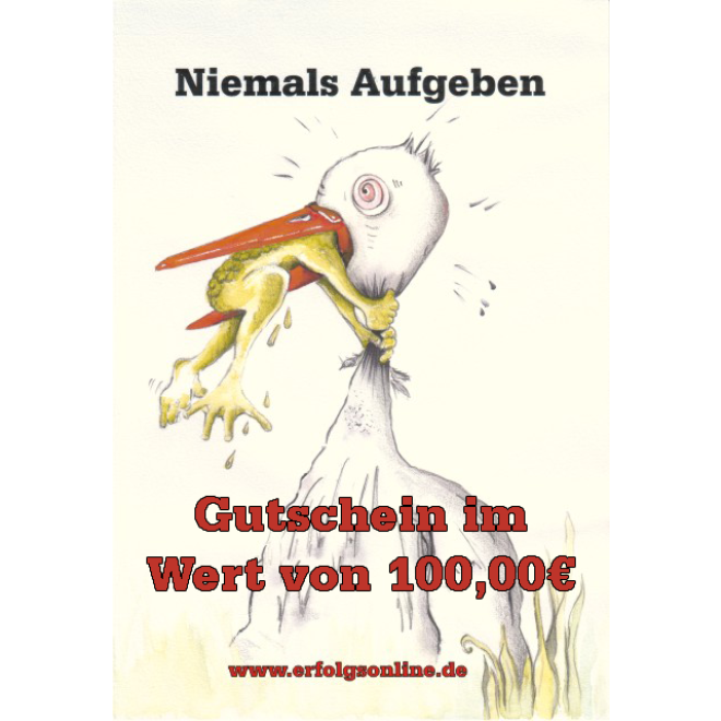 Gutschein im Wert von 100,00€