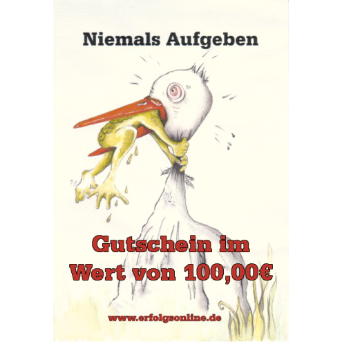 Gutschein im Wert von 100,00€